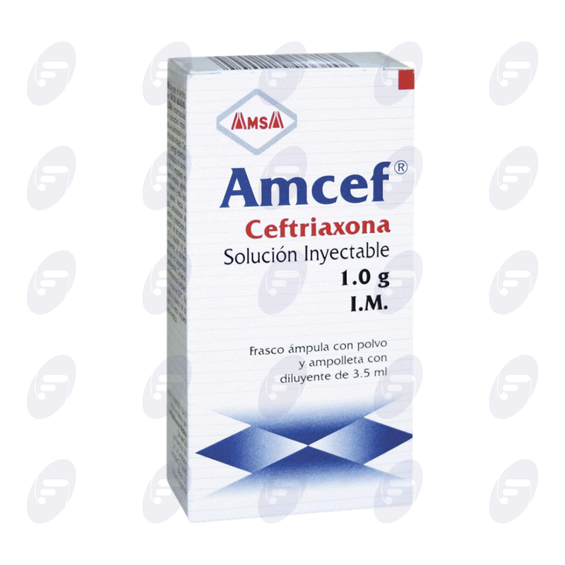 AMCEF        I.M.C/LIDOC.  1 GR.FCO.AMP.