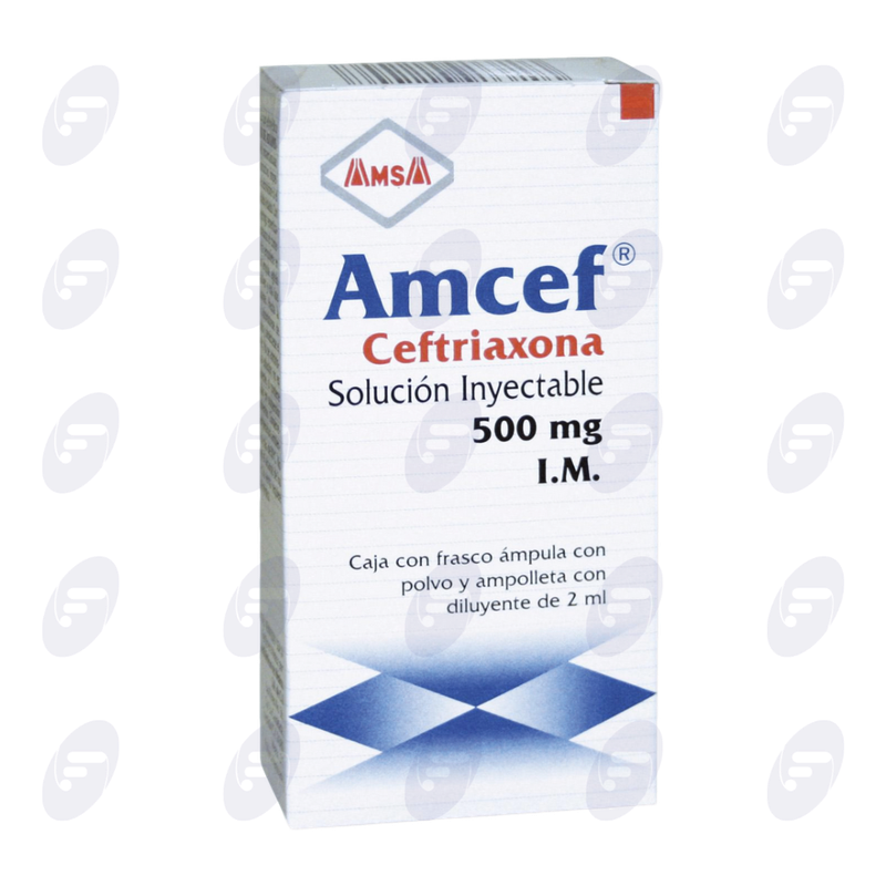 AMCEF        I.M.C/LIDOC.500 MG.FCO.AMP.