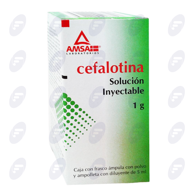 CEFALOTINA AMSA 1 G. SOL. INY.