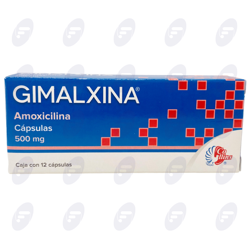 GIMALXINA         500 MG.CAJA C/12 CAPS.