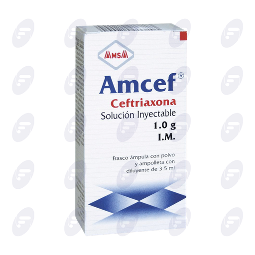 [020010] AMCEF        I.M.C/LIDOC.  1 GR.FCO.AMP.