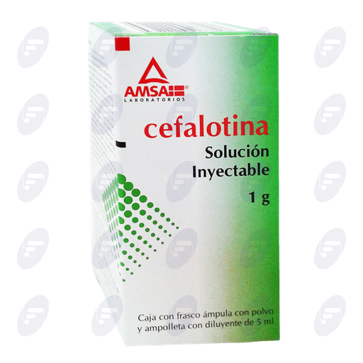 [020054] CEFALOTINA AMSA 1 G. SOL. INY.
