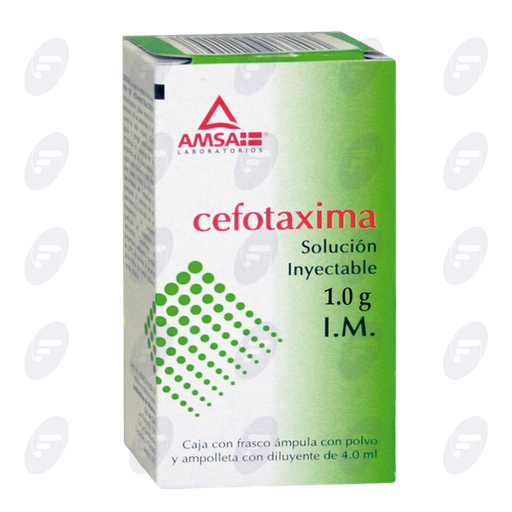 [020046] CEFOTAXIMA AMSA 1 G. I.M. SOL.INYECTABLE