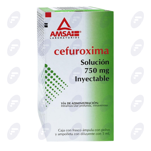 [020085] CEFUROXIMA  AMSA  750 MG. SOL. INY.IM/IV