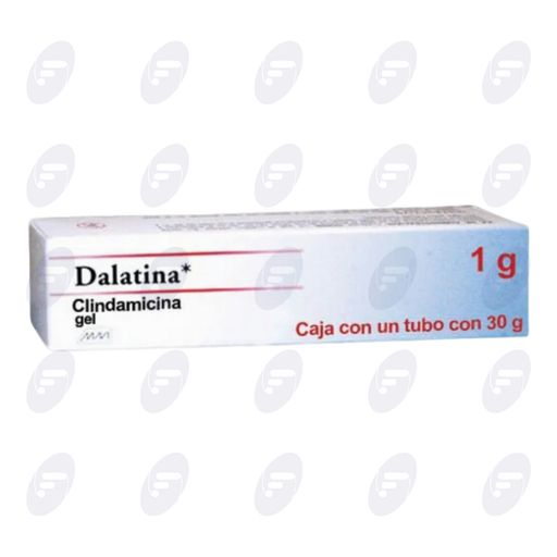 [107137] DALATINA   1 GR.CAJA C/TUBO DE 30 G. GEL