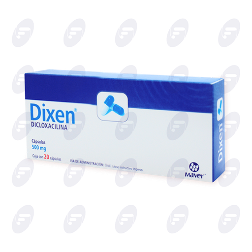[031339] DIXEN              500 MG.CAJA C/20 CAPS