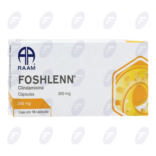 [190029] FOSHLENN    300 MG.CAJA C/16 CAPS.