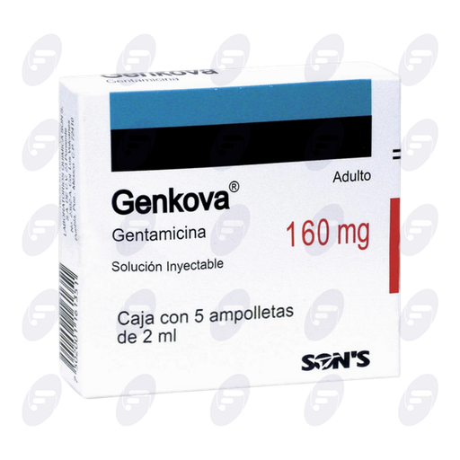 [013052] GENKOVA        160 MG.CAJA C/5 AMP.2 ML.