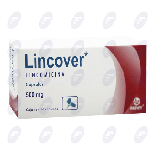 [031119] LINCOVER          500 MG.CAJA C/16 CAPS.