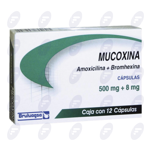 [066063] MUCOXINA        500/8 MG.CAJA C/12 CAPS.