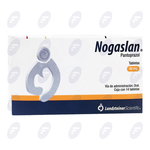 [119013] NOGASLAN    40MG CAJA C/14TAB.