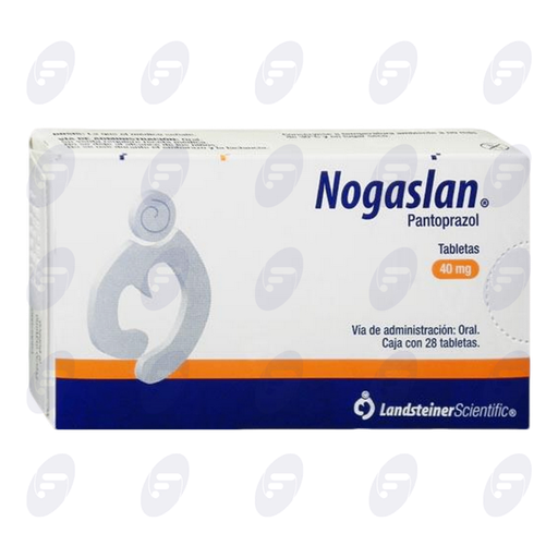 [119027] NOGASLAN    40MG CAJA C/28TAB.