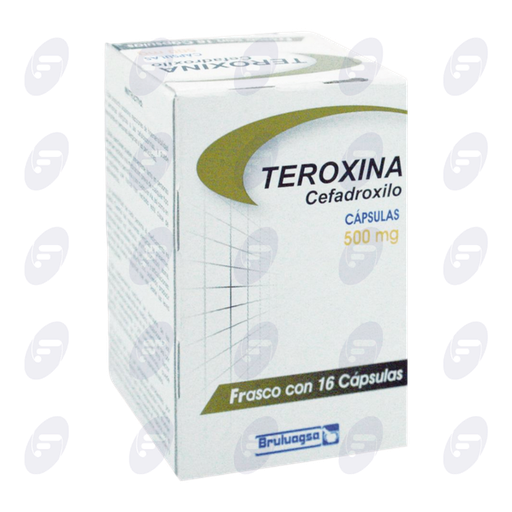 [066072] TEROXINA    500 MG.CAJA C/FCO.C/16 CAPS.