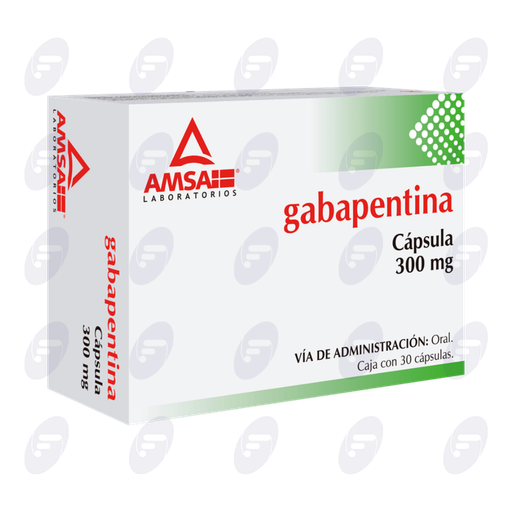 [020146] GABAPENTINA AMSA 300 MG CAJA C/30 CAPS